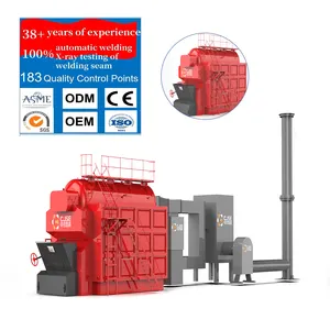 CJSE High quality automatic wood fired steam solid fuel boiler fire tube biomass coal fired steam boiler for food industry