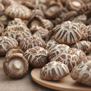 Nấm khô hữu cơ chất lượng cao, bán buôn số lượng lớn, dùng để nấu ăn - Product Image 1