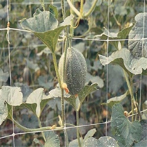 Red de soporte para plantas vegetales Red de soporte para plantas de pepino - Product Image 6