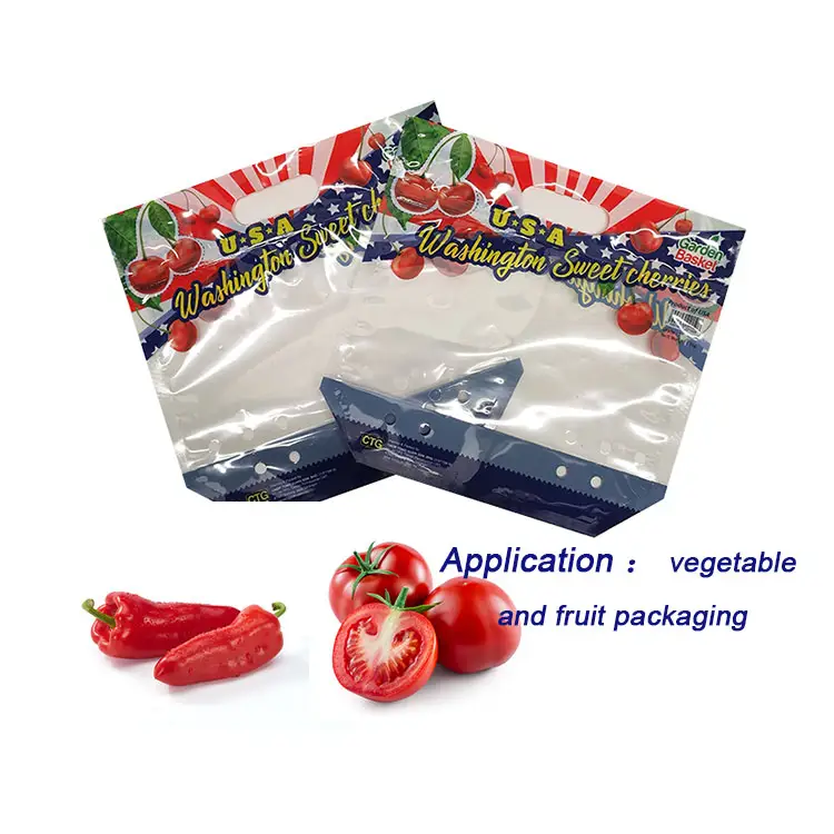 Custom Printed Resealable Clear Transparent Plastic Vegetable Bags Packaging Food Grade Ziplock Fresh Fruit Packaging Bags