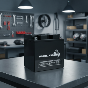 Nouvelle batterie de moto PALMA <span class=keywords><strong>YTX30L</strong></span>-<span class=keywords><strong>BS</strong></span> 12v 30AH sans entretien avec 1 an de garantie - Product Image 6