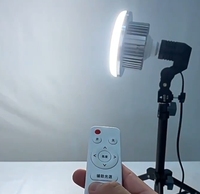 Photo Studio lumière stroboscopique E27 filetage support de lampe 220V haute sensibilité Flash ampoule stroboscopique pour la photographie intérieure