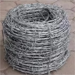 Fil barbelé galvanisé à chaud en rouleau de 500 m pour clôture et contrôle des frontières - Offre Spéciale - Product Image 6