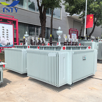 Transformateur de distribution à huile TSTY à haute résistance aux impulsions 33/0,4 kV 800 kVA 1600 kVA pour zones côtières et industrielles