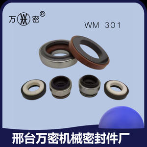 Self-Priming Fluororubber Silicon Carbide Water Pumps Customizable 301-8~55mm Mechanical Seals in Stock Optimized for Efficiency - Product Image 4