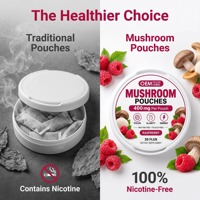 Complément Alimentaire Énergisant aux Champignons 400mg – Sachet Menthe Caféine pour la Concentration et le Soutien de la Santé Cérébrale