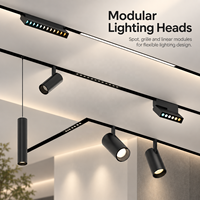 Système d'éclairage sur rail LED magnétique 48V, spots LED intelligents en aluminium COB avec modules linéaires pour magasins et galeries
