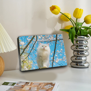 Offre Spéciale vente en gros de Solution murale en bois, <span class=keywords><strong>galerie</strong></span> suspendue personnalisée, collage <span class=keywords><strong>photo</strong></span>, cadre <span class=keywords><strong>photo</strong></span>, lit mural, ensemble <span class=keywords><strong>photo</strong></span> - Product Image 6