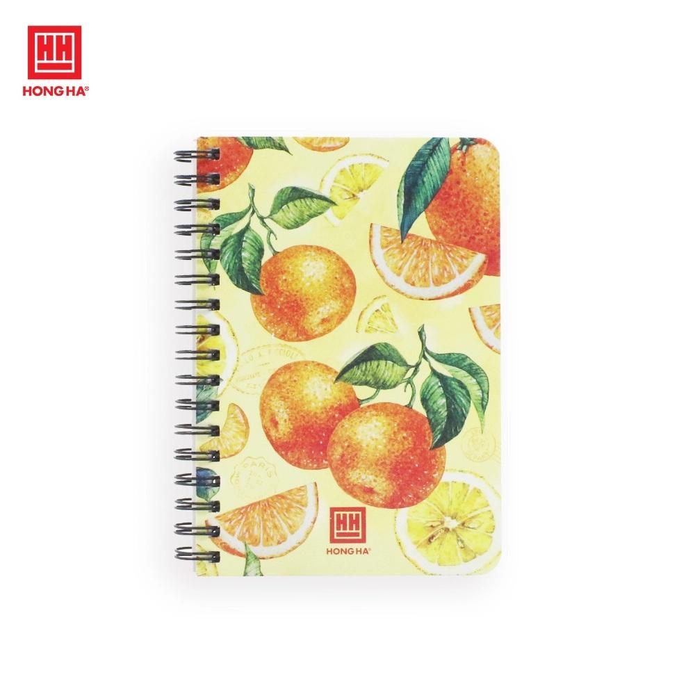 สีสันที่หลากหลายและสดใส