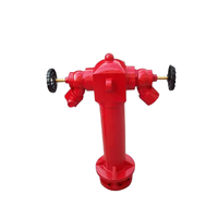 BS14384 EN accessoire extérieur de bouche d'incendie de pilier humide britannique à 2 voies en fonte pour équipement de lutte contre les incendies