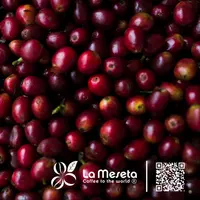 유기농 콜롬비아 커피 콩