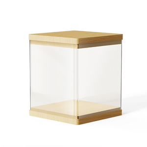 Caja de Exhibición con Batería Recargable Integrada OEM/ODM para Museo Privado Nocturno |   Un lujoso trío de luz, ruido blanco y Bluetooth - Product Image 5