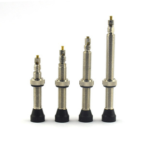 <span class=keywords><strong>Valve</strong></span> de <span class=keywords><strong>pneu</strong></span> <span class=keywords><strong>tubeless</strong></span> Presta en cuivre nickelé 34 mm 40 mm 44 mm 48 mm 60 mm F/V <span class=keywords><strong>Tubeless</strong></span> Presta <span class=keywords><strong>Tubeless</strong></span> Valves - Product Image 1