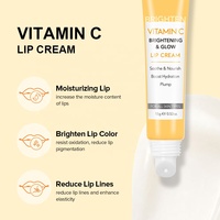 Crème Hydratante Éclaircissante et Repulpante Végane à la Vitamine C pour Lèvres Foncées, Produit de Blanchiment des Lèvres Marque Blanche