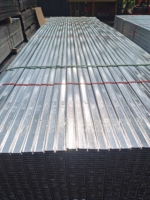 Perfil de Acero Galvanizado Ligero para Techo, 30x9mm 3660mm, para Suministro de Materiales de Construcción en Malasia