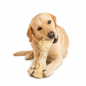 Juguete Masticable para Perros de Paja PA Ecológico y Duradero, Resistente a Mordidas, para Limpieza Dental, para Perros Medianos y Grandes - Product Image 1