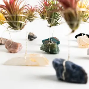 Wholesale Crystals Stones New Arrivals Healing Crystals Plant Raw Stone For Women