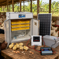 Couveuse industrielle d'oeufs de poule énergie solaire de machine d'oeufs à couver de double puissance