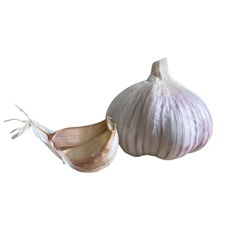 Jin xiang Pure Natural New Crop Fresh White Garlic Price/Solo Garlic Price