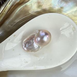 Acqua dolce coltivata di grandi dimensioni colore viola singolo due barocche <span class=keywords><strong>ostriche</strong></span> vongole con vaccino imballaggio per Live Open - Product Image 2