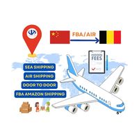 Transitaire DDP adapté Livraison par camion de porte à porte en Chine Expédition aérienne vers l'Allemagne Agent d'expédition aérien