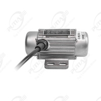 Putian Vibrant 10 Hp Vibrate Dynamomotor400w Moteur Vibratoire Moteur Vivration Vibradora Concreto Moteur Vibrationmotor