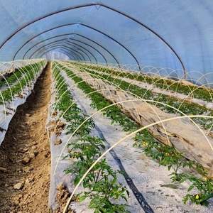 TENGJUN Durable 8mm <span class=keywords><strong>Flexible</strong></span> Fibra <span class=keywords><strong>de</strong></span> vidrio FRP <span class=keywords><strong>Varilla</strong></span> Fibra <span class=keywords><strong>de</strong></span> vidrio sólida Forma <span class=keywords><strong>de</strong></span> pultrusión Corte <span class=keywords><strong>de</strong></span> superficie lisa Moldura Fibra <span class=keywords><strong>de</strong></span> vidrio - Product Image 6