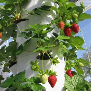 Vertikale Landwirtschaft Aeroponic Turm Für Erdbeere Wachsenden Aeroponic Vertikale Dreh Turm Garten