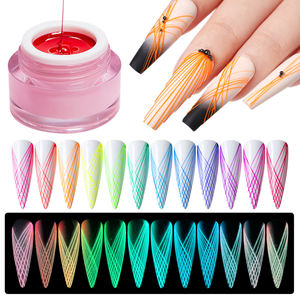 Westink 12 색 다양한 스타일 창조적 인 그림 네일 글로우 in 다크 스파이더 젤 도매 네일 용품 - Product Image 2