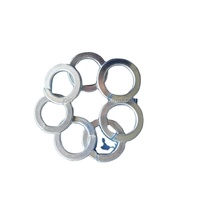 DIN127 Spring Washers Zinc Plated High Quality Made in China