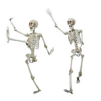 Squelette humain simulé de 153cm, 12 pieds, grand squelette géant d'halloween en plastique, taille réelle