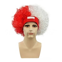 HLC Accessoires de Fan de Football Personnalisés avec Logo Argentine : Perruque, Bandeau, Chapeaux Fouls et Coiffes Drapeau Pologne pour Supporters