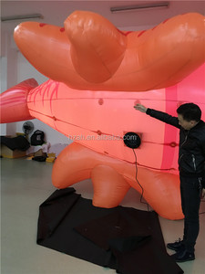 <span class=keywords><strong>ปลา</strong></span>เป่าลมสัตว์จำลองสำหรับตกแต่ง - Product Image 5