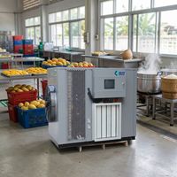 Warmtepompdroogmachine voor Baobabvrucht, Moringa, Mangobladpoeder, 130kg, geschikt voor kruiden en fruit