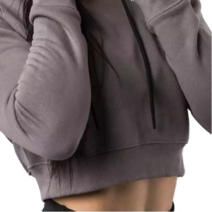 Ventes en gros de sweats à capuche courts pour femmes, logo personnalisé brodé, nouvelle collection, haute qualité, sweats à capuche courts pour femmes - Product Image 5