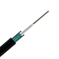 Cable de Fibra Óptica para Exteriores de 6 mm Gyxtw con Armadura de Alambre de Acero de 4/10-12 Núcleos para Proyectos de CCTV/CATV