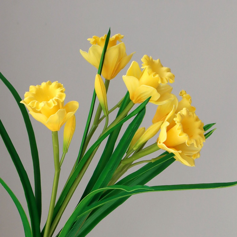 Giallo