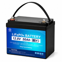 Paket Baterai Lifepo4 Grosir WLY 12v 10ah 20ah 50ah 100ah Baterai Lithium Ion Penyimpanan Baterai Isi Ulang