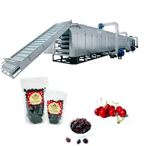 Automatic Fruit Vegetable Dehydrate Continuous Mesh Belt Multi Layer Dryer Drying Machine