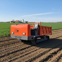 Bergbau-Transportfahrzeug Raupenkipper Mini-Dumper 4000kg 5000kg 5 Tonnen Dieselmotor Zahnradpumpe