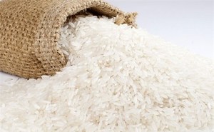 Offres Spéciales usine vietnamienne riz aromatique au jasmin à grains longs séché Riz-Arroz qualité d'exportation WhatsApp 0084 989 322 607 - Product Image 4