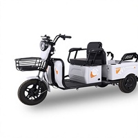Tricycle électrique de fret transfrontalier à batterie, modèle à petit plateau, puissance <200W, vitesse supérieure à 20km/h, tension 48V