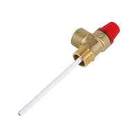 Válvula de Alivio de Presión y Temperatura de Latón de Alta Calidad de 1/2 Pulgada para Calentador de Agua, con 1 Año de Garantía, Marca OEM