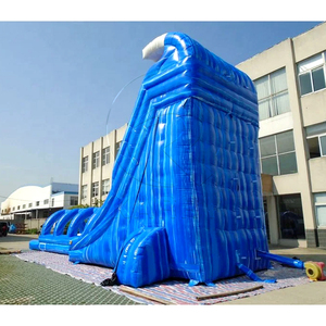 Yaz Partisi Kiralama Ürünleri Ağır Hizmet Tipi PVC Dev Şişme Zıplama Şatosu Su Kaydırağı Kombosu Palmiye Şişme Su Kaydırağı İki Kulvarlı - Product Image 6