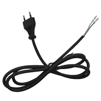 Câble d'extension 10A 250V H05RN-F Europe à 2 broches vers 2 fils dénudés avec bornes