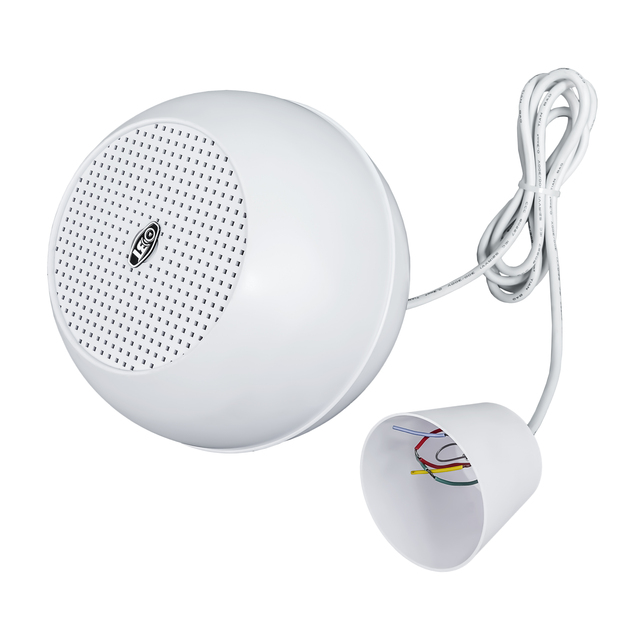 OBT-310 Professional 100V Pendant Speaker with Spherical Loudspeakers Hanging Celling Speaker with Waterproof for Sale