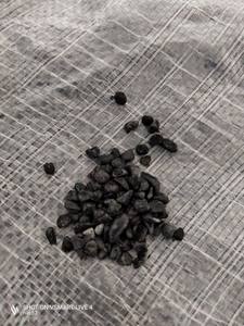 Pierres roulées noires du Vietnam gravier de galets en pierre naturelle de taille miniature - Product Image 4