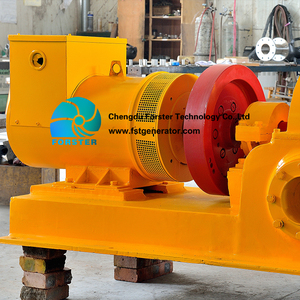Turbine <span class=keywords><strong>hydraulique</strong></span> 20kw, 30kw, 40kw, <span class=keywords><strong>générateur</strong></span> électrique pour les petites plantes hydroponiques - Product Image 3