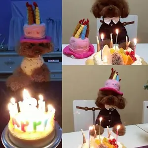 New Arrival Comfortable And Easy Clean 5 Candles Design Party Custom Accessory Adorable Dog Cat Birthday Cake Hat