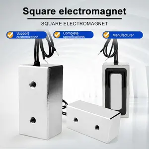 Electromagnet Electric Magnet LSD-P60/30/25 Rectangle Electromagnet IP65 Electromagnetic Solenoid Sucker Magnet Coil Magnet Spool Winding